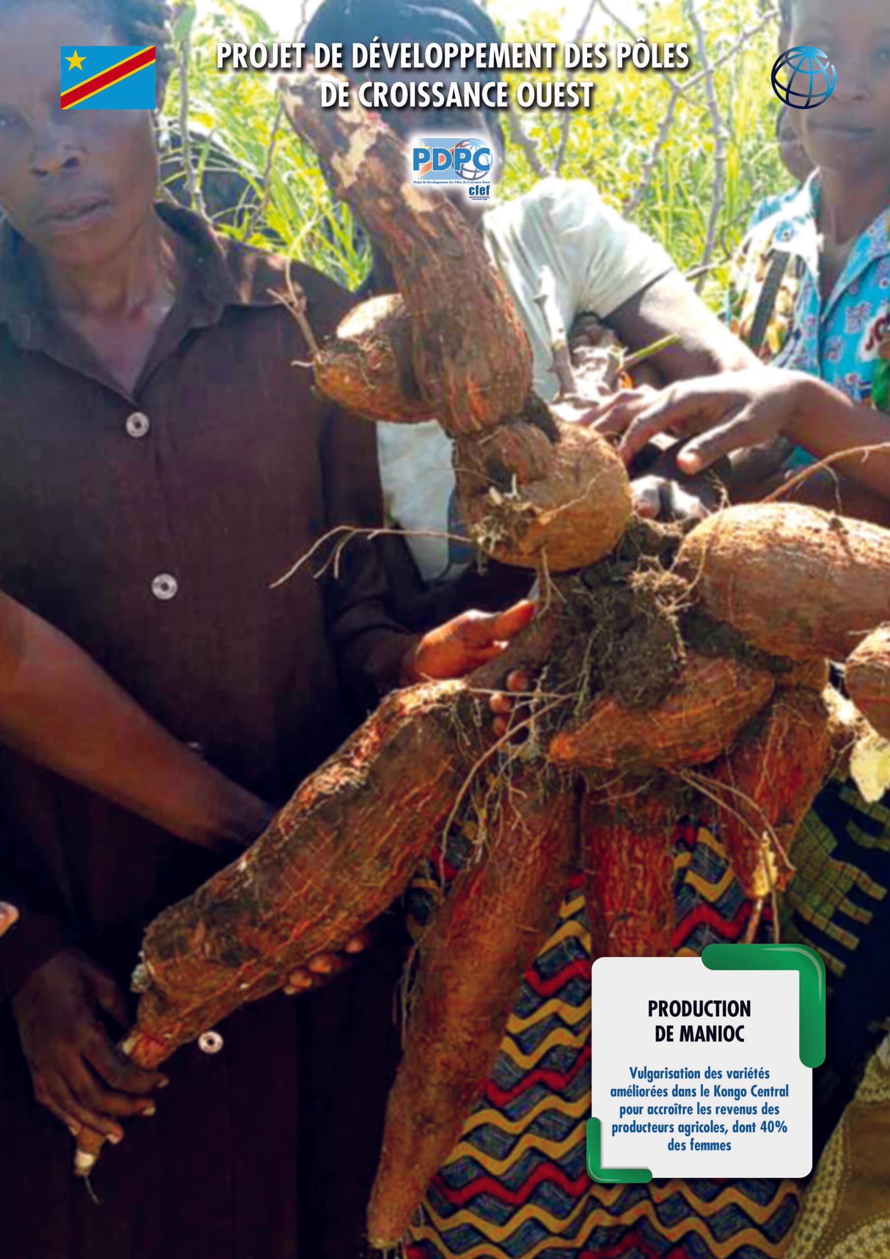 image en avant de PDPC : Vulgarisation des variétés améliorées du manioc dans la provinces du Kongo Central